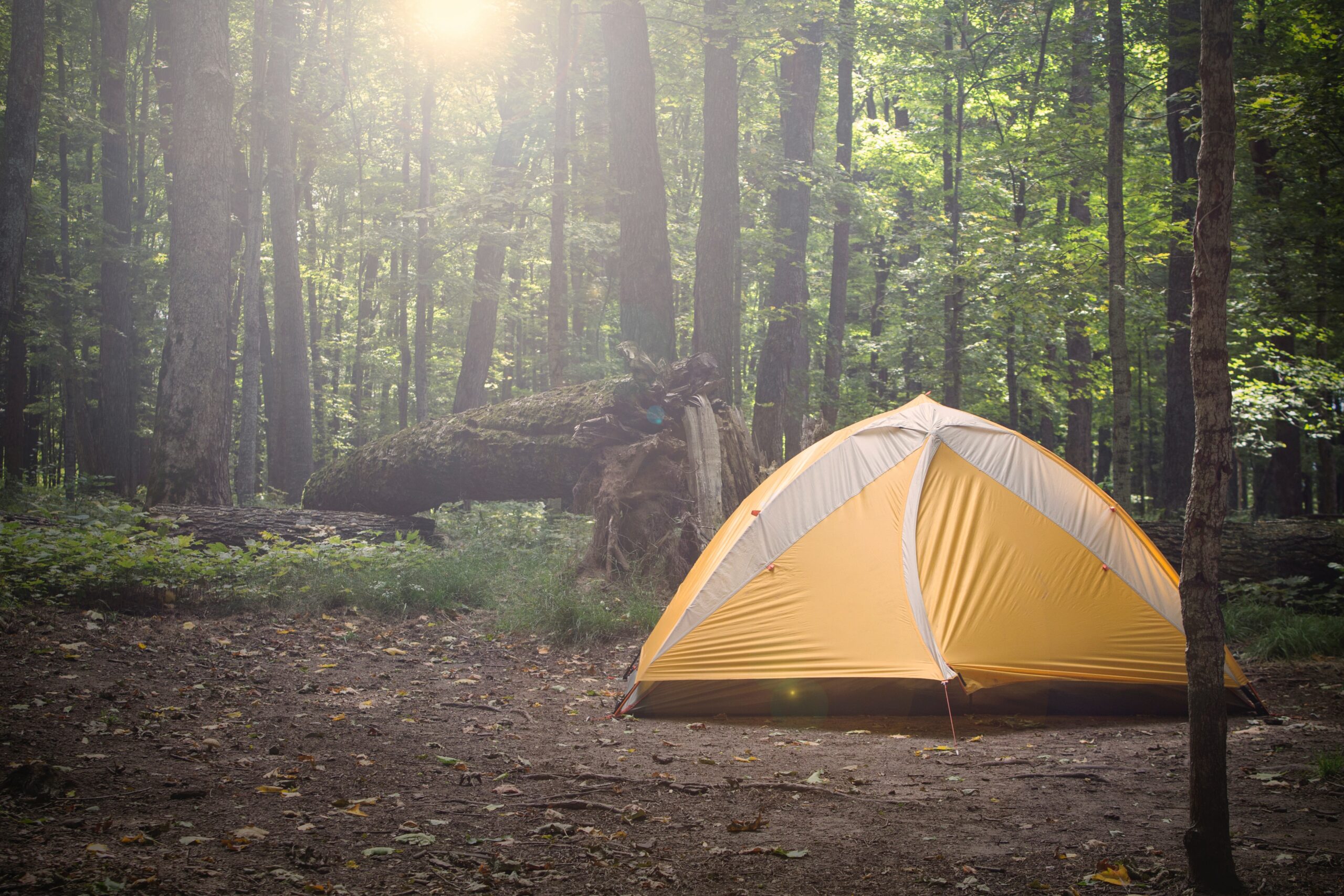 Hébergements en camping, Où dormir