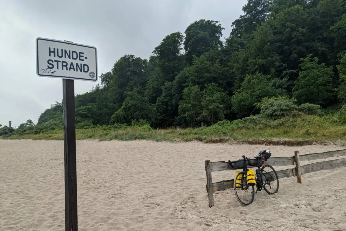 Les meilleurs gravels bikepacking 2026