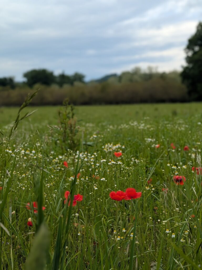 Le Lot à vélo : boucle de 2 jours au départ de Souillac