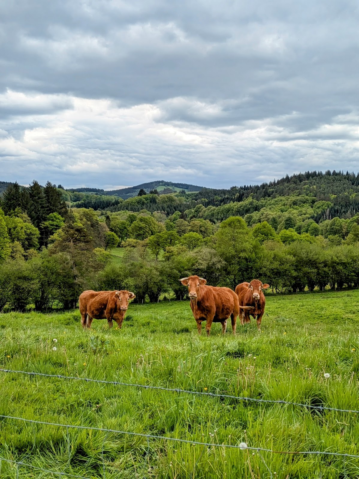 La Corrèze à vélo — 4 jours sur la Vagabonde