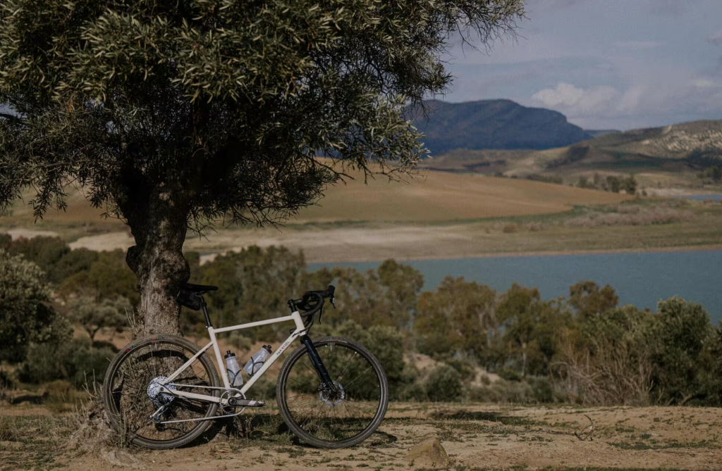 Les meilleurs gravels : comparatif 2025 