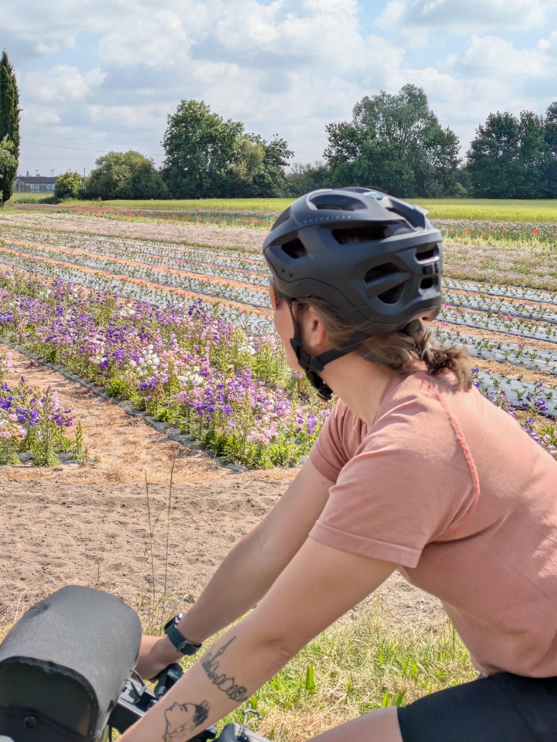 La Vélobuissonière V44 — itinéraire vélo de 240km entre Saumur et Alençon