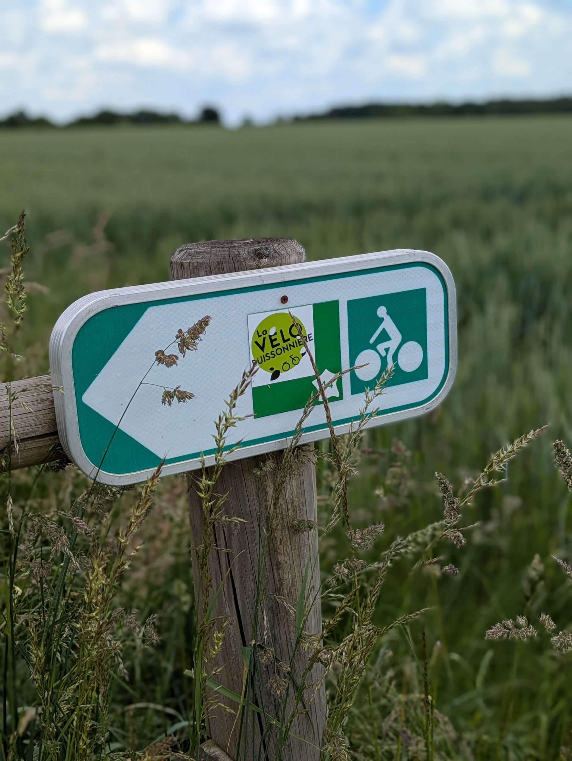 La Vélobuissonnière V44 — itinéraire vélo de 240km entre Saumur et Alençon
