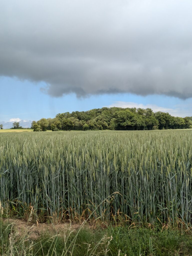 La Vélobuissonnière V44 — itinéraire vélo de 240km entre Saumur et Alençon
