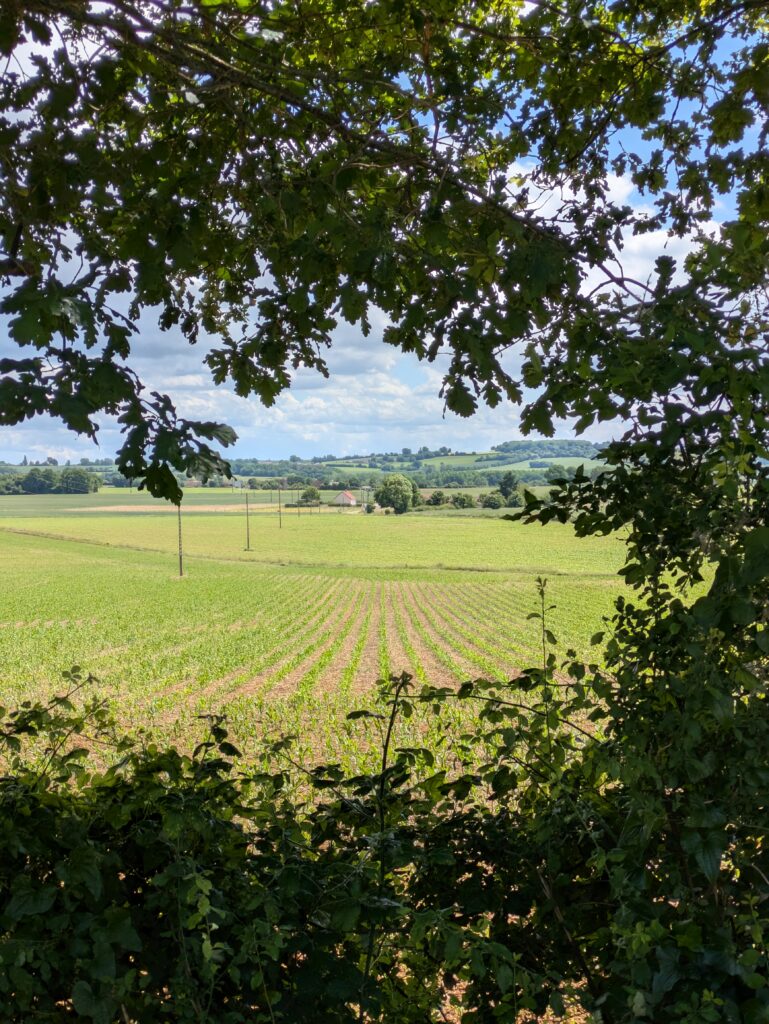 La Vélobuissonnière V44 — itinéraire vélo de 240km entre Saumur et Alençon