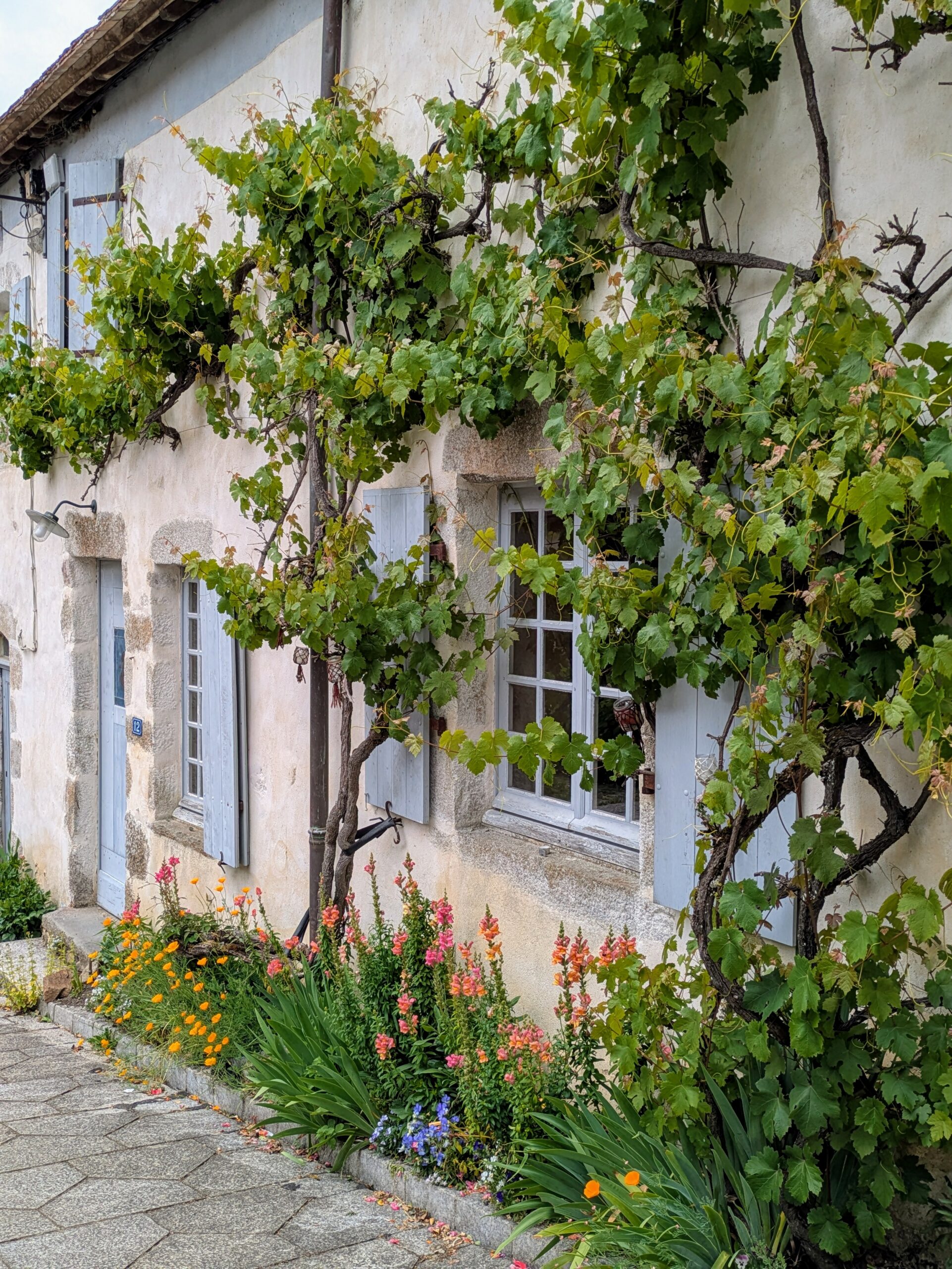 La Vélobuissonnière V44 — itinéraire vélo de 240km entre Saumur et Alençon