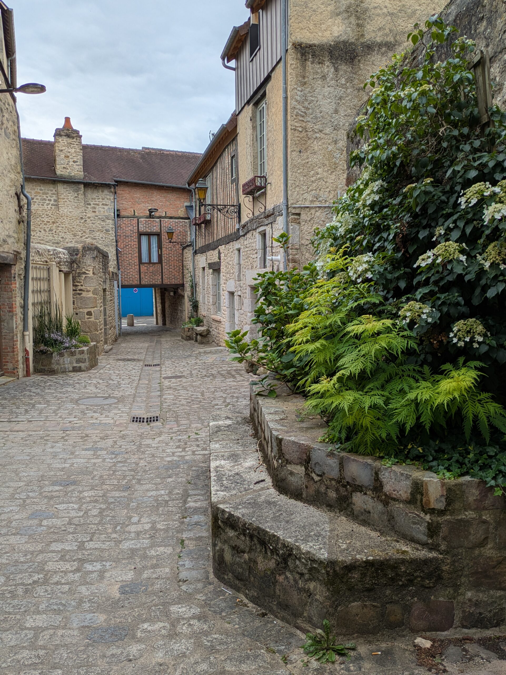La Vélobuissonnière V44 — itinéraire vélo de 240km entre Saumur et Alençon