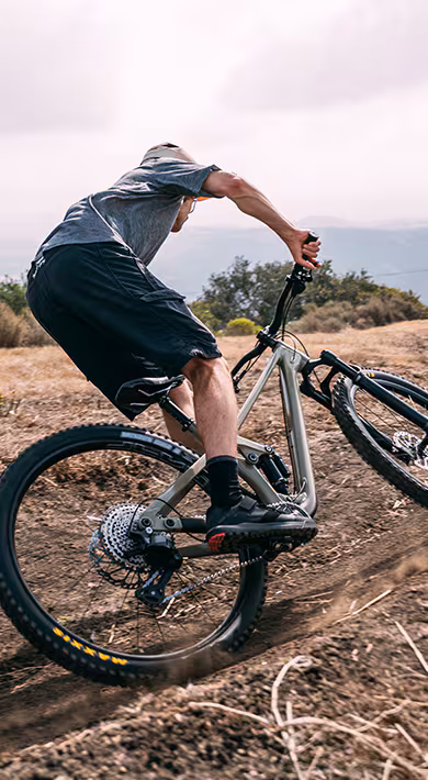 Gamme Shimano VTT : la hiérarchie des groupes